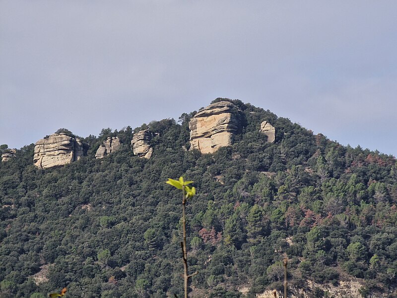 File:Puig del Far.jpg