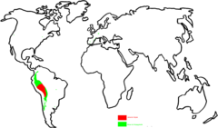 Ursprunglig distribution och förökning