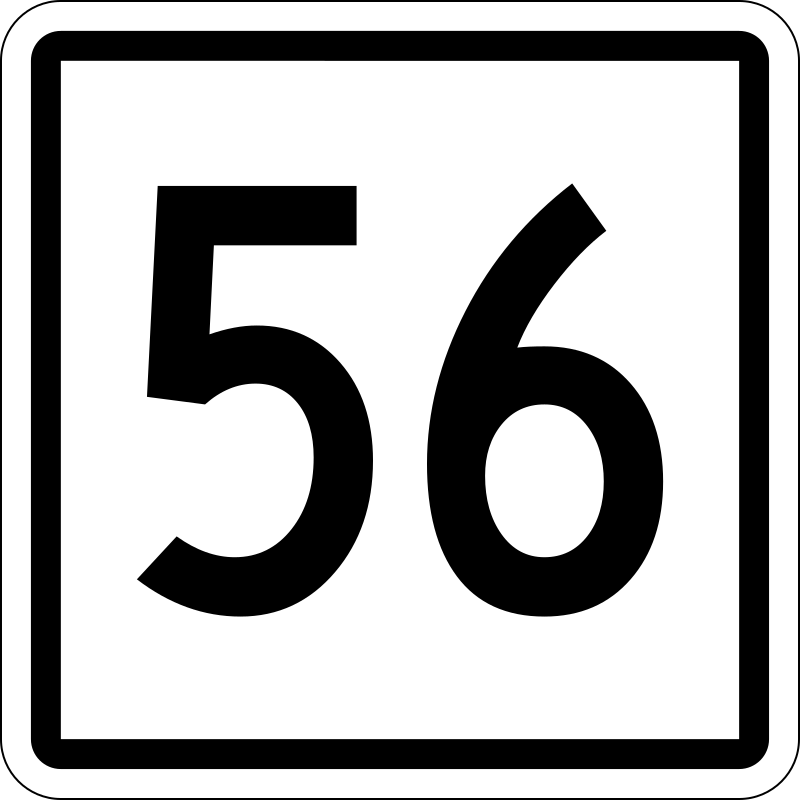 Число 56