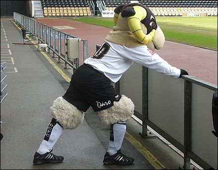 Derby County's mascot, Rammie