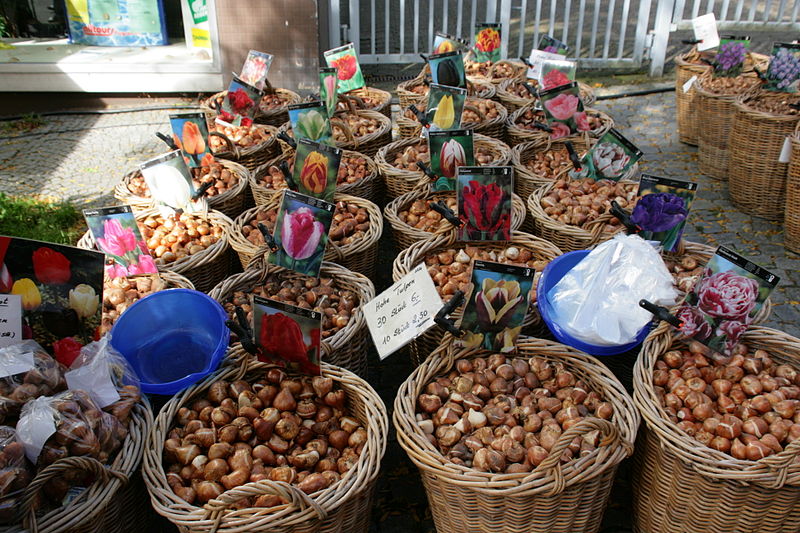 File:Remscheid Lüttringhausen - Bauernmarkt 05 ies.jpg