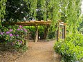 * Nomination Pergola at Lake Renkenörener See. Osnabrück Land, Low Saxony, Germany --Basotxerri 17:35, 14 June 2016 (UTC) * Promotion Good quality. --Ermell 06:31, 18 June 2016 (UTC)