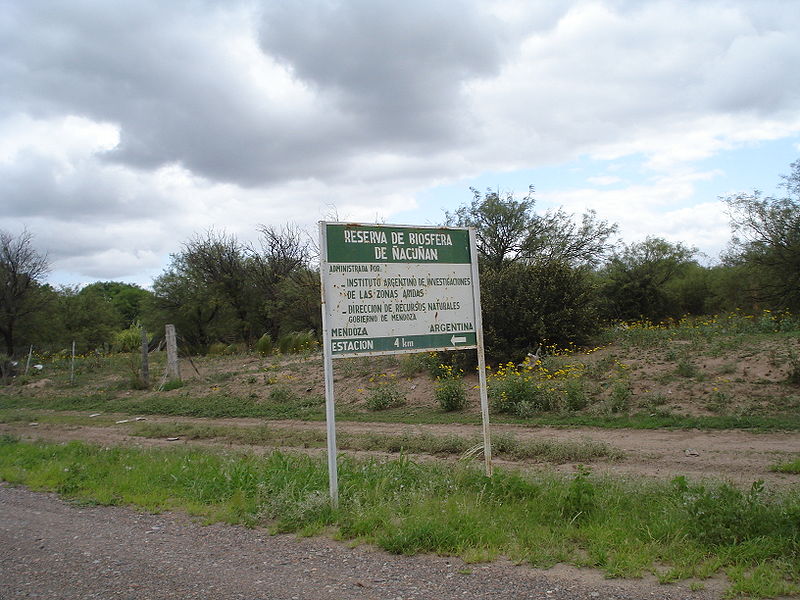 File:Reserva de Biosfera de Ñacuñán.jpg