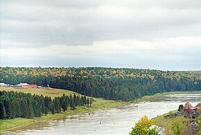 Tura Nehri