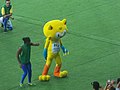 Rio 2016, Women's Football Final, Sweden vs. Germany (20).jpg