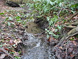 The Robin Brook in Charnock, Sheffield, in February 2011.