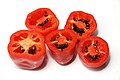 Rocoto chili peppers