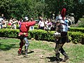 Chevaliers costumés mimant un combat dans le parc de la Citadelle, lors de la Fête Médiévale de 2011.