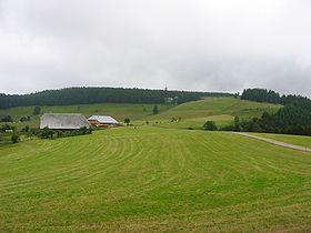 Visão do topo.