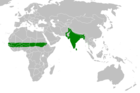 Aire de répartition de la Perruche à collier