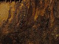 Rosia Montana Roman Gold Mines 2011 - Wall Detail-3.jpg