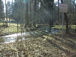 Southern Regnitz River in Germany