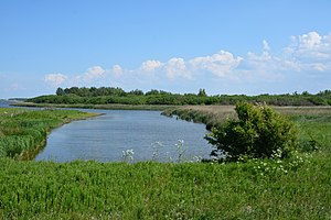 Schleswig-Holstein, Dithmarschen, Landschaftsschutzgebiet Speicherkoog Dithmarschen (Nordkoog) NIK 3262.jpg