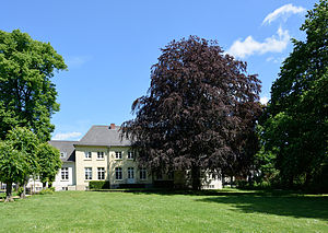 Schleswig-Holstein, Neumünster, Naturdenkmal NIK 6407.JPG