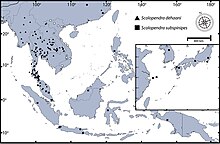 Scolopendra dehaani and subspinipes range.jpg