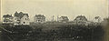 Seattle - University Heights - 1900.jpg