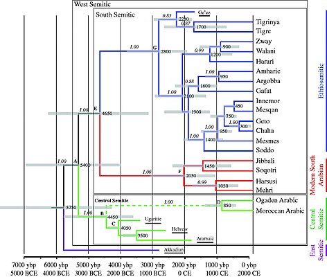 Genealogía de las lenguas etío-semitas