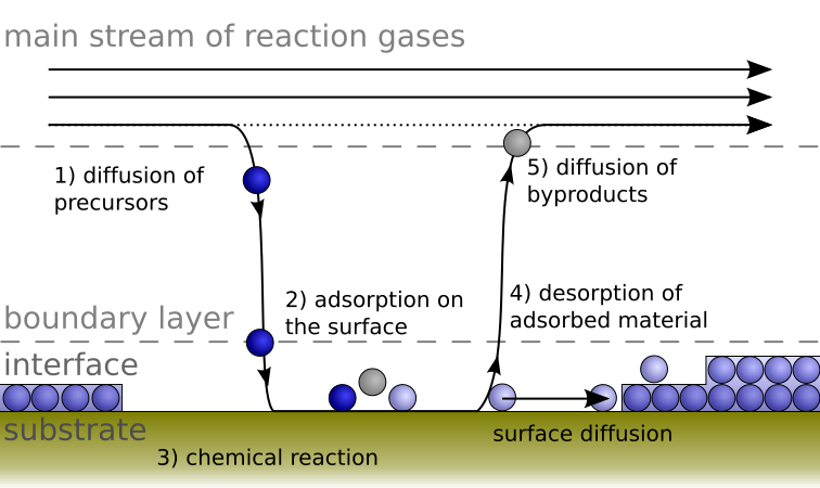File:Sequence during CVD (en).svg