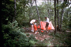 Shenandoah National Park SHEN2816.jpg