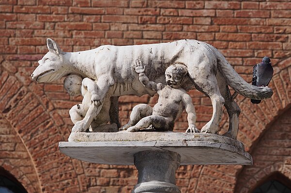 Capitoline Wolf at Siena Duomo. According to a legend, Siena was founded by Senius and Aschius, two sons of Remus. When they fled Rome, they took the 