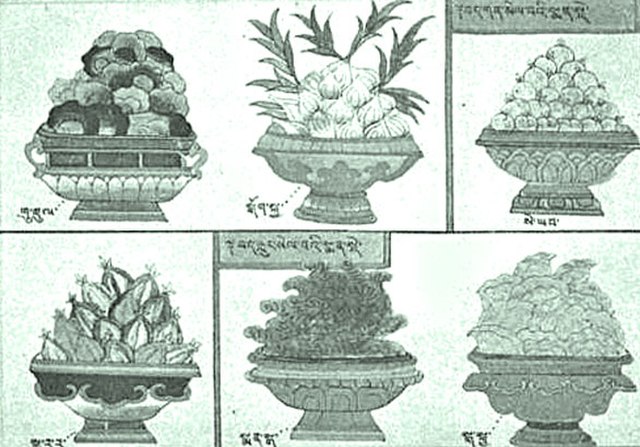 Six common medicinal herbs in Tibet