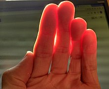 Real-world subsurface scattering of light in a photograph of a human hand Skin Subsurface Scattering.jpg
