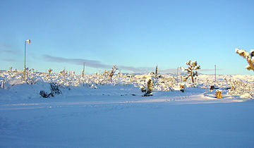 Snow in the Mojave Desert Fall 2012