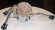 Photograph of model of a brain mounted on a three-legged robotic base with actuating mechanisms and exposed wires. The brain has a face with mouth and red eyes, and a small arm with grasping hands emerging from each side.