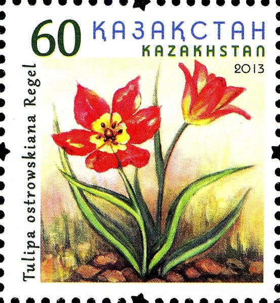 File:Stamps of Kazakhstan, 2013-51.jpg