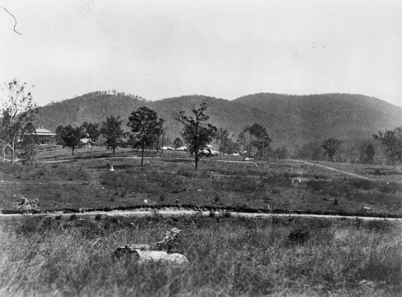 File:StateLibQld 1 107504 Looking across the pastures of the Glen Lyon estate to the mountains, 1929.jpg