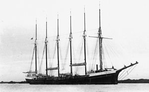 StateLibQld 1 145607 Oregon Pine (navio) .jpg