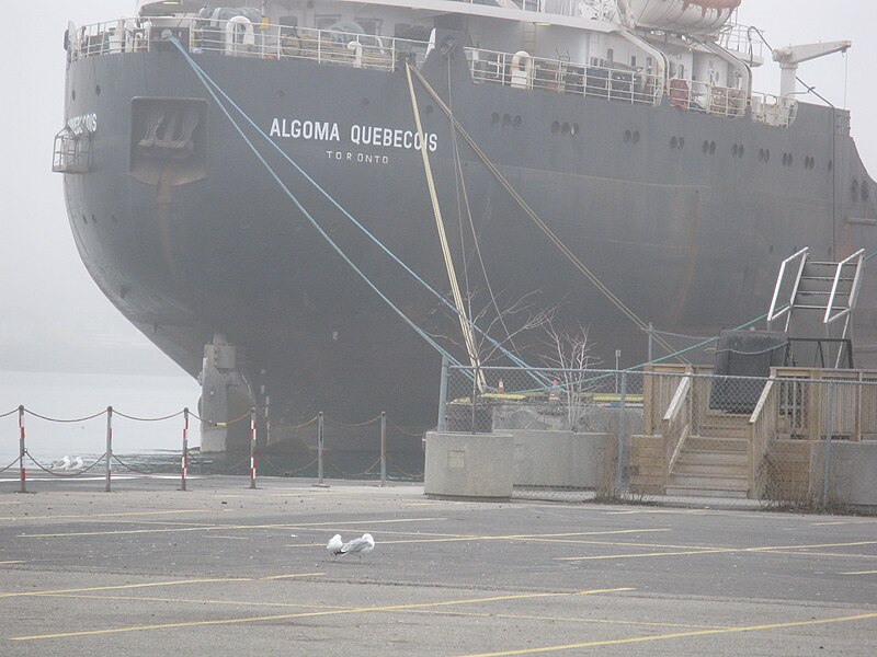 File:Stern of the lake freighter Quebecois, from Polson Street, 2012-03-17 -b.jpg