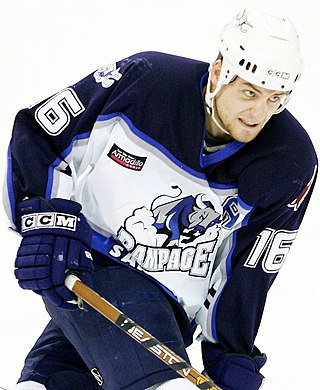 <span class="mw-page-title-main">Steve Gainey</span> Canadian ice hockey player (born 1979)