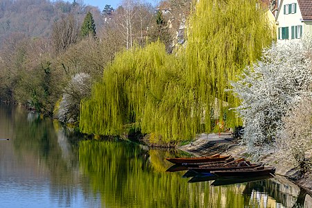 Boats in Tübingen