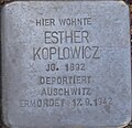 wikimedia_commons=File:Stolpersteine_Alsdorf_Esther_Koplowicz_Linnicher_Strasse_26.jpg