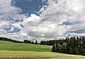 * Nomination Landscape with meadows and forests in Sankt Peter ob Gurk, Straßburg, Carinthia, Austria --Johann Jaritz 01:55, 27 July 2017 (UTC) * Promotion Good quality. --Jacek Halicki 07:05, 27 July 2017 (UTC)