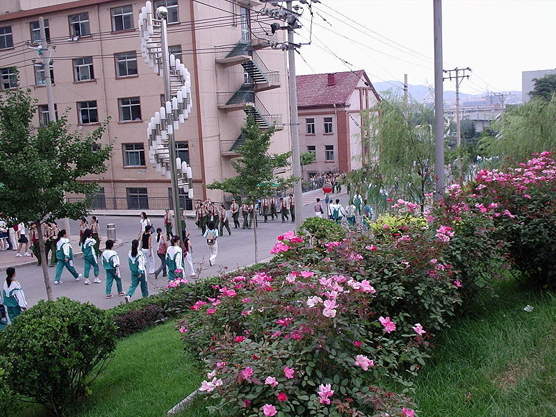 File:Students returning from military training, LNNU, Dalian.JPG