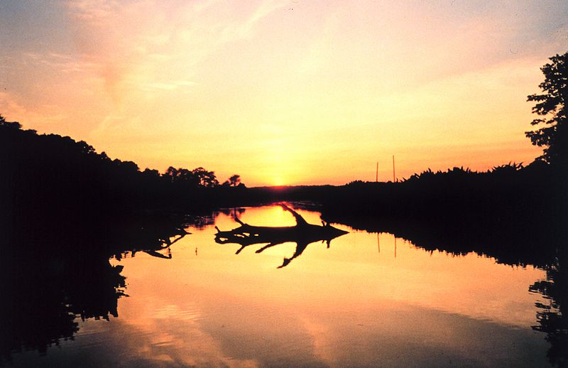 File:Sunset over the marsh at Cardinal Cove - NOAA.jpg