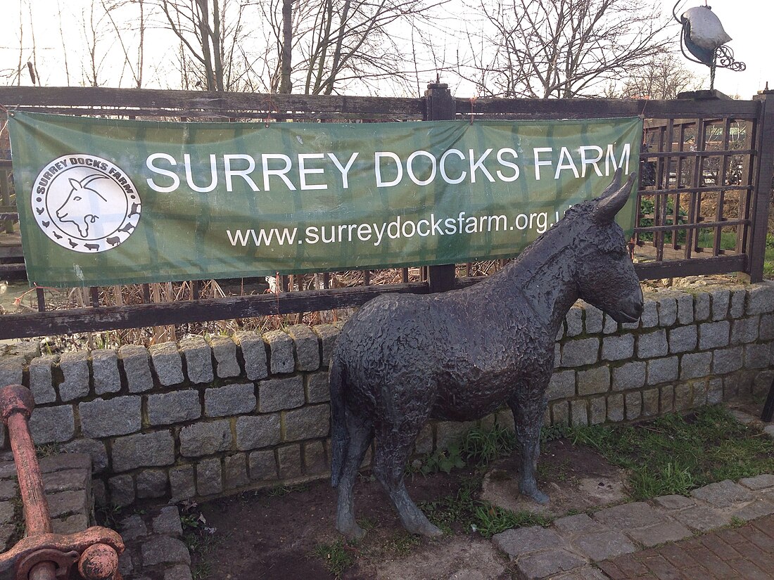 Surrey Docks Farm