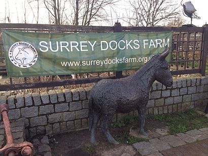 How to get to Surrey Docks Farm with public transport- About the place