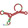 Thumbnail for Transfer RNA-like structures