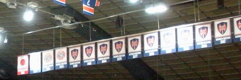 File:Tappara banners.JPG