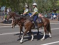 Thumbnail for New South Wales Mounted Police