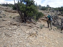 Luciano Mesa Member near Abiquiu, New Mexico Todilto Formation Arroyo del Cobre.jpg