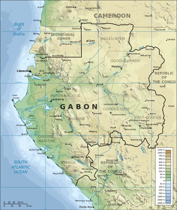 ガボン共和国 Gabonese Republic