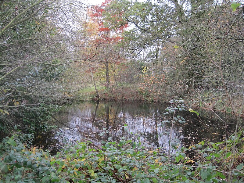 File:Totteridge Common pond.JPG