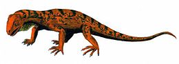 A Trilophosaurus, egy kezdetleges archosauromorpha