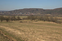 Tower Hill Hundsdruck01.JPG