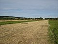 Upham Meadow and narrative