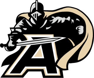 2010 Army Black Knights football team American college football season